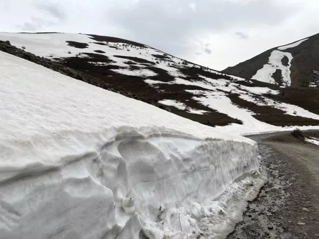 Hem çiçek topladılar, hem karın tadını çıkardılar Hem çiçek topladılar, hem karın tadını çıkardılar
