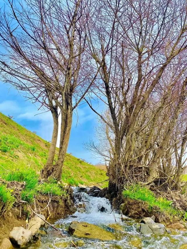 Hem çiçek topladılar, hem karın tadını çıkardılar Hem çiçek topladılar, hem karın tadını çıkardılar