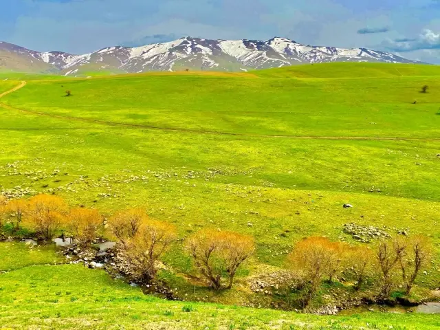 Hem çiçek topladılar, hem karın tadını çıkardılar Hem çiçek topladılar, hem karın tadını çıkardılar
