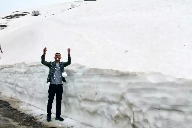 Hem çiçek topladılar, hem karın tadını çıkardılar Hem çiçek topladılar, hem karın tadını çıkardılar