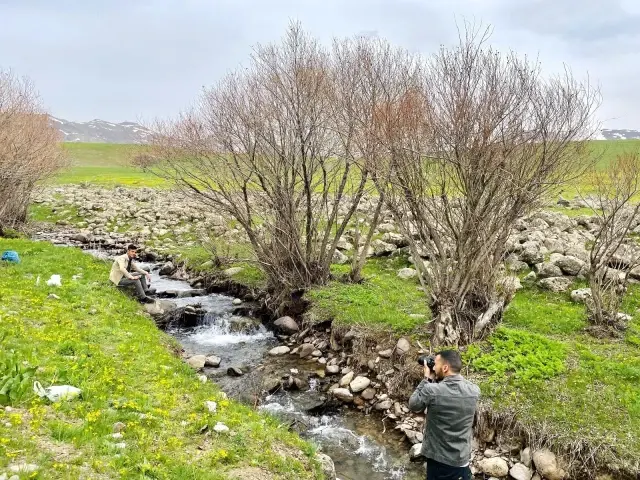 Hem çiçek topladılar, hem karın tadını çıkardılar Hem çiçek topladılar, hem karın tadını çıkardılar