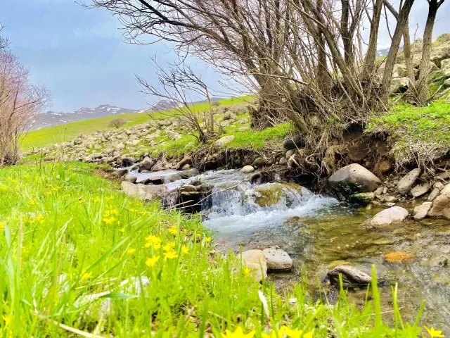 Hem çiçek topladılar, hem karın tadını çıkardılar Hem çiçek topladılar, hem karın tadını çıkardılar