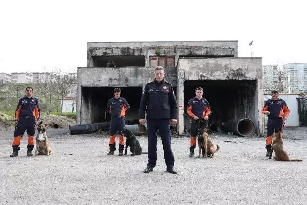 İSTANBUL İTFAİYESİ K9 MERKEZİ KURDU... HAYAT KURTARACAK KÖPEKLERİ YETİŞTİRİYOR İSTANBUL İTFAİYESİ K9 MERKEZİ KURDU... HAYAT KURTARACAK KÖPEKLERİ YETİŞTİRİYOR