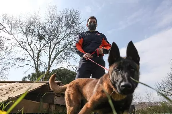 İSTANBUL İTFAİYESİ K9 MERKEZİ KURDU... HAYAT KURTARACAK KÖPEKLERİ YETİŞTİRİYOR İSTANBUL İTFAİYESİ K9 MERKEZİ KURDU... HAYAT KURTARACAK KÖPEKLERİ YETİŞTİRİYOR