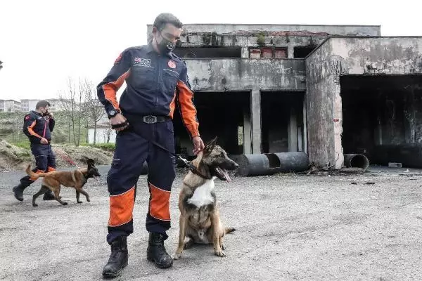 İSTANBUL İTFAİYESİ K9 MERKEZİ KURDU... HAYAT KURTARACAK KÖPEKLERİ YETİŞTİRİYOR İSTANBUL İTFAİYESİ K9 MERKEZİ KURDU... HAYAT KURTARACAK KÖPEKLERİ YETİŞTİRİYOR