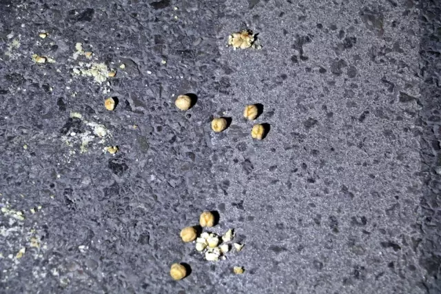 Kısıtlama saatinde kavga ettiler, hem dayak hem ceza yediler: 4 yaralı Kısıtlama saatinde kavga ettiler, hem dayak hem ceza yediler: 4 yaralı