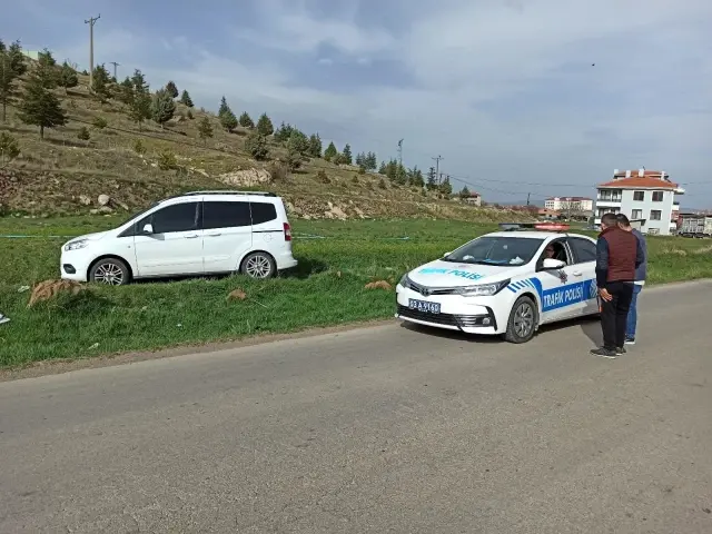 Köpeğe çarpmamak için manevra yapan araç tarım arazisine girdi Köpeğe çarpmamak için manevra yapan araç tarım arazisine girdi