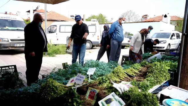 Sarıgöl'de sebze fide satışlarına büyük ilgi Sarıgöl'de sebze fide satışlarına büyük ilgi