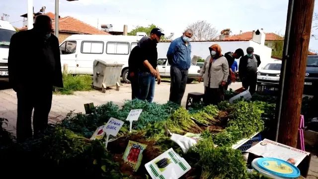 Sarıgöl'de sebze fide satışlarına büyük ilgi Sarıgöl'de sebze fide satışlarına büyük ilgi