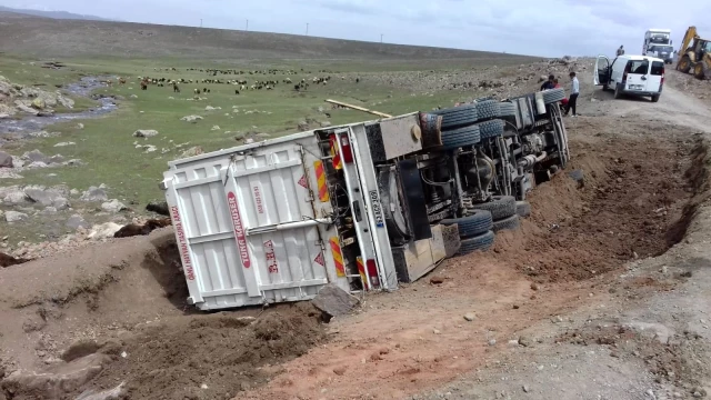 Virajı alamayan kamyonet yan yattı: 50 koyun telef oldu