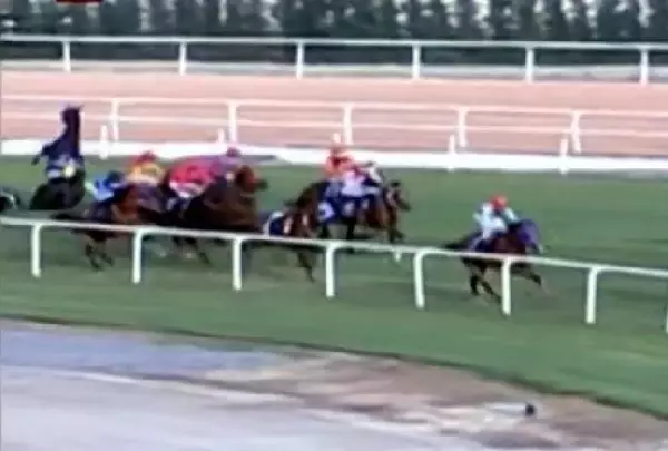 Adana'da at yarışlarında bir kaza daha: 4 jokey düştü, 3'ü hastaneye kaldırıldı Adana'da at yarışlarında bir kaza daha: 4 jokey düştü, 3'ü hastaneye kaldırıldı