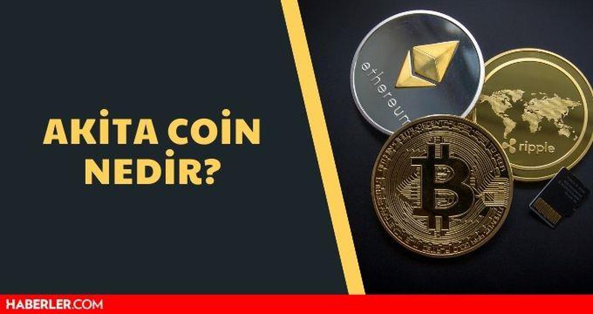 Akita Coin nedir? Akita Inu (Akita) Coin yorum ve merak edilenler