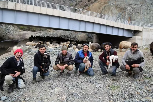 Artvin'de yayla göçü başladı