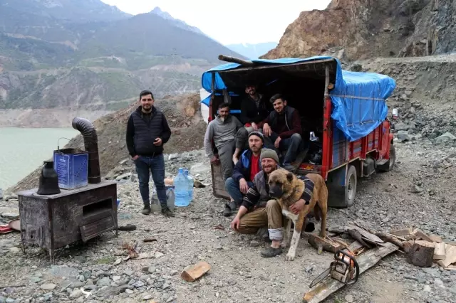 Artvin'de yayla göçü başladı