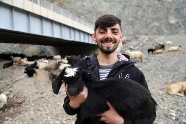 Artvin'de yayla göçü başladı