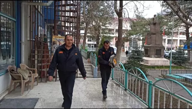 Son dakika! Binanın çatısındaki hava boşluğunda mahsur kalan kediyi itfaiye ekipleri kurtardı Son dakika! Binanın çatısındaki hava boşluğunda mahsur kalan kediyi itfaiye ekipleri kurtardı