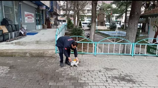 Son dakika! Binanın çatısındaki hava boşluğunda mahsur kalan kediyi itfaiye ekipleri kurtardı Son dakika! Binanın çatısındaki hava boşluğunda mahsur kalan kediyi itfaiye ekipleri kurtardı