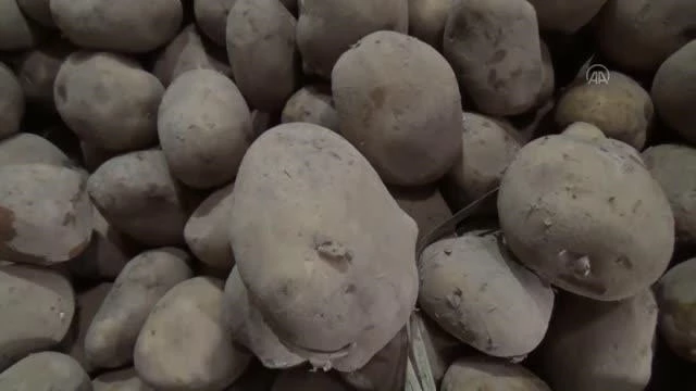 Depolarda kalan patatesler, ihtiyaç sahiplerinin sofrasına ulaştırılıyor