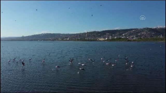 izmit plajyolu sahilinde olusan kirliligin 14078460 o