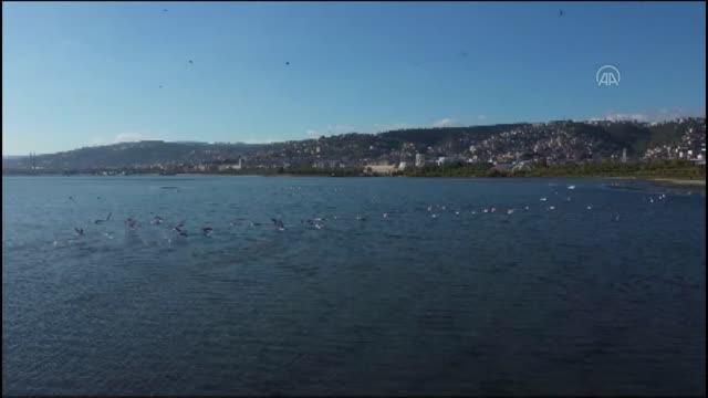 izmit plajyolu sahilinde olusan kirliligin 2 14078460 o