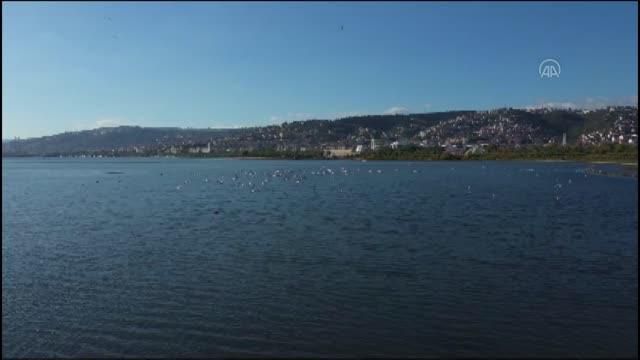 izmit plajyolu sahilinde olusan kirliligin 3 14078460 o