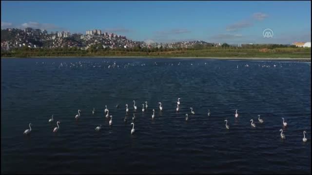 izmit plajyolu sahilinde olusan kirliligin 4 14078460 o