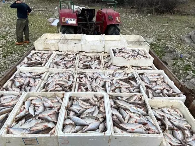 Kaçak balık avcılarına 31 bin 320 TL para cezası Kaçak balık avcılarına 31 bin 320 TL para cezası