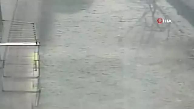Kargaların saldırısına uğrayan sevimli kedi 4. kattan dört ayak üstüne düştü Kargaların saldırısına uğrayan sevimli kedi 4. kattan dört ayak üstüne düştü