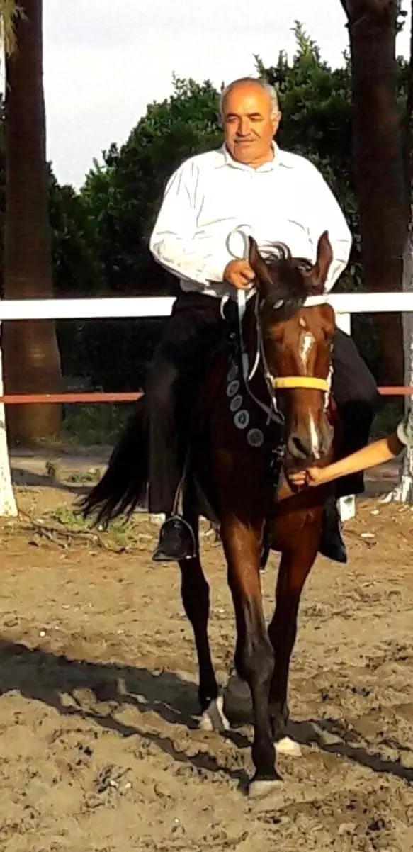 Kayıp atlar başkanı istifa ettirdi Kayıp atlar başkanı istifa ettirdi