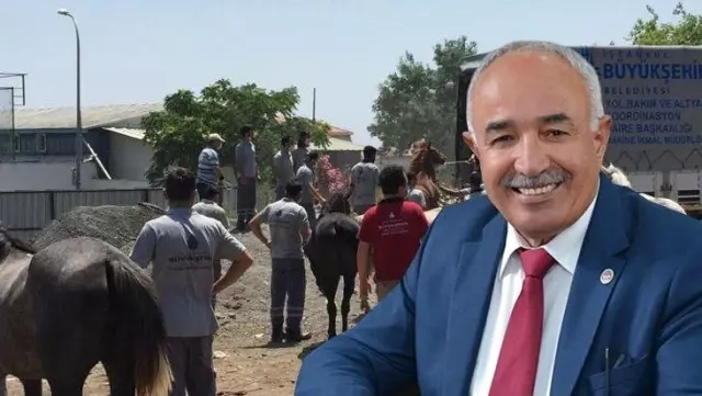 Kayıp atlarla ilgili tartışmaların odağındaki Dörtyol Belediye Başkanı Fadıl Keskin MHP'den istifa etti Kayıp atlarla ilgili tartışmaların odağındaki Dörtyol Belediye Başkanı Fadıl Keskin MHP'den istifa etti