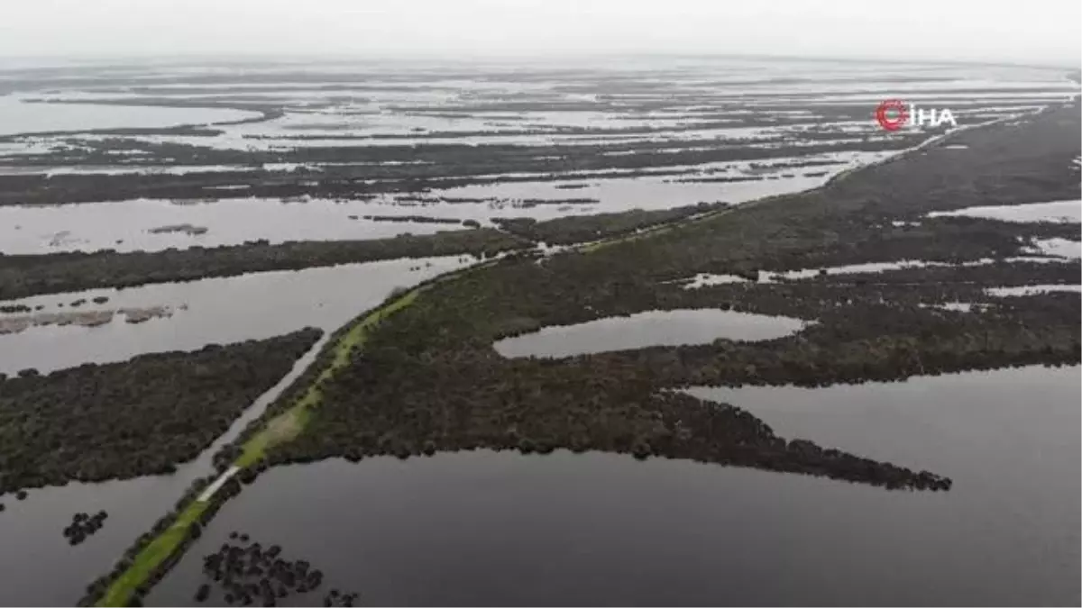 Kızılırmak Deltasındaki su seviyesinde sevindiren artış