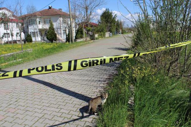 kocaeli de 2 sokak karantinaya alindi 6 14077649 o