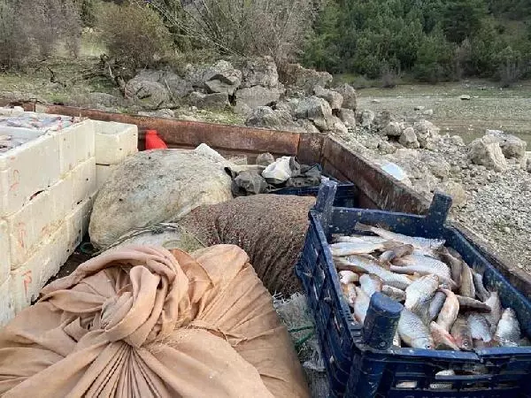 Köpek maması yapmak için kaçak balık avlayan 4 kişi suçüstü yakalandı Köpek maması yapmak için kaçak balık avlayan 4 kişi suçüstü yakalandı