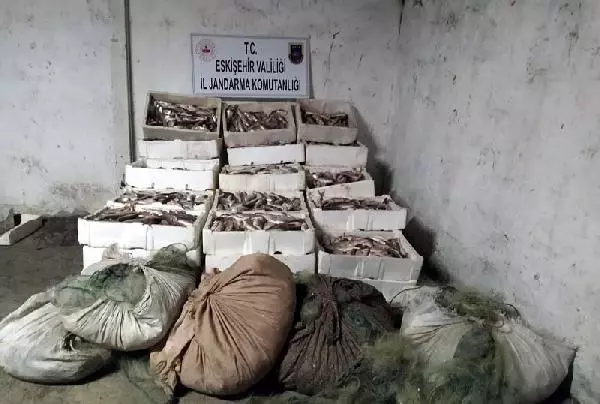Köpek maması yapmak için kaçak balık avlayan 4 kişi suçüstü yakalandı Köpek maması yapmak için kaçak balık avlayan 4 kişi suçüstü yakalandı