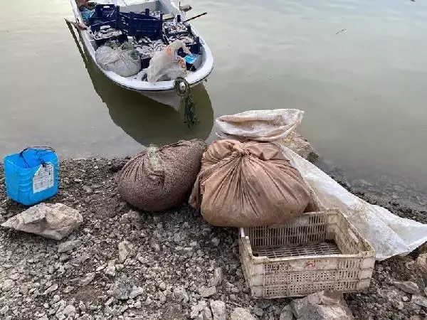 Köpek maması yapmak için kaçak balık avlayan 4 kişi suçüstü yakalandı Köpek maması yapmak için kaçak balık avlayan 4 kişi suçüstü yakalandı