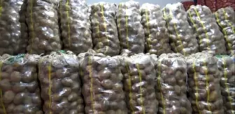 Toprak Mahsulleri Ofisi: Patates ve soğan hareketliliğinden üretici de memnun tüketici de Toprak Mahsulleri Ofisi: Patates ve soğan hareketliliğinden üretici de memnun tüketici de