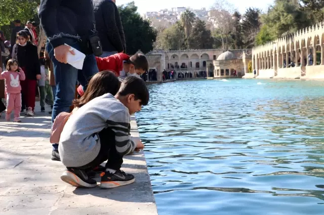 Son dakika haber... Şanlıurfa'da nüfusunun yarısına yakını çocuk Son dakika haber... Şanlıurfa'da nüfusunun yarısına yakını çocuk