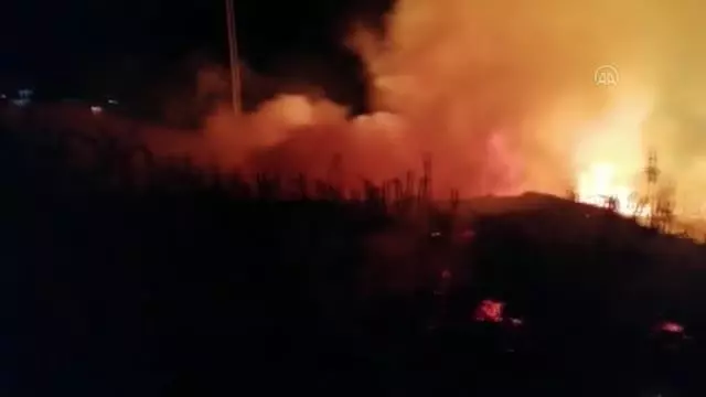 Son dakika gündem: Sazlık alanda çıkan yangın söndürüldü Son dakika gündem: Sazlık alanda çıkan yangın söndürüldü