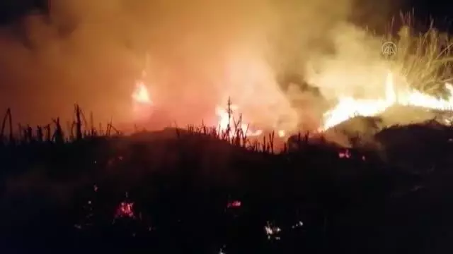 Son dakika gündem: Sazlık alanda çıkan yangın söndürüldü Son dakika gündem: Sazlık alanda çıkan yangın söndürüldü