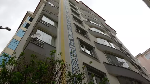 Kargaların saldırısına uğrayan sevimli kedi 4. kattan dört ayak üstüne düştü Kargaların saldırısına uğrayan sevimli kedi 4. kattan dört ayak üstüne düştü