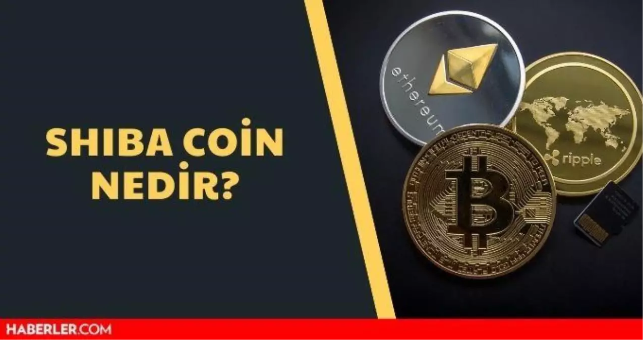 shiba coin nedir shiba inu shib coin binance de listelenecek