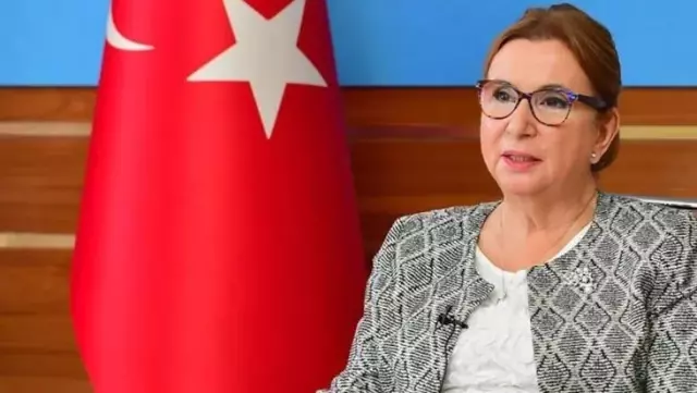 Ticaret Bakanlığı, Bakan Pekcan'ın şirketinden dezenfektan alındığını doğruladı: Ucuza aldık Ticaret Bakanlığı, Bakan Pekcan'ın şirketinden dezenfektan alındığını doğruladı: Ucuza aldık