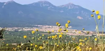 Milli Parklar Genel Müdürlüğü: Tülüşah deneme parselinde değerlendirme toplantısı yapıldı Milli Parklar Genel Müdürlüğü: Tülüşah deneme parselinde değerlendirme toplantısı yapıldı