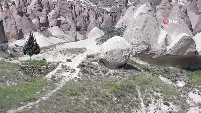 Ünlü botanikçi Kapadokya'da yeni bitki keşfetti Ünlü botanikçi Kapadokya'da yeni bitki keşfetti