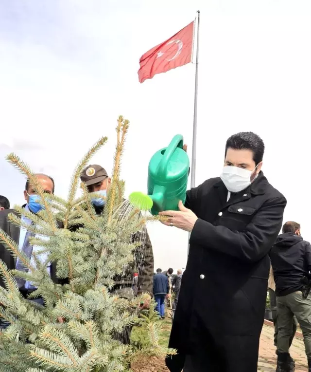 Ağrı'da 138 şehidin anısına fidan dikildi Ağrı'da 138 şehidin anısına fidan dikildi