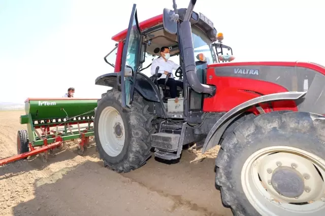 Amasya'da yerli ve milli kenevir 'Vezir'in ekimi yapıldı Amasya'da yerli ve milli kenevir 'Vezir'in ekimi yapıldı