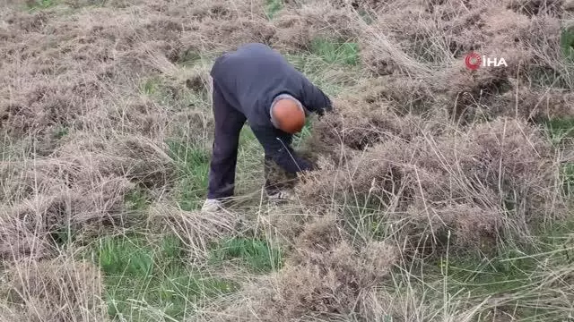 Bağışıklıktan, saç dökülmesine kadar etkili olan 'Gulik'in mesaisi başladı Bağışıklıktan, saç dökülmesine kadar etkili olan 'Gulik'in mesaisi başladı