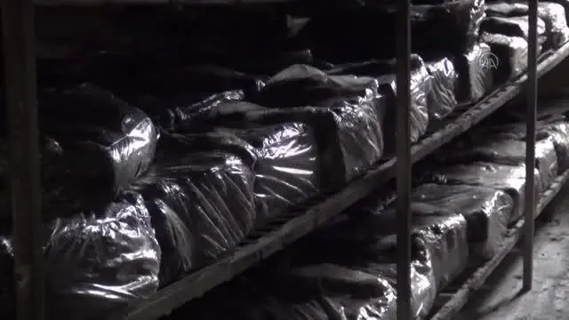 Bitlisli girişimci üretim tesisine dönüştürdüğü eski binada ayda 12 ton mantar üretiyor Bitlisli girişimci üretim tesisine dönüştürdüğü eski binada ayda 12 ton mantar üretiyor
