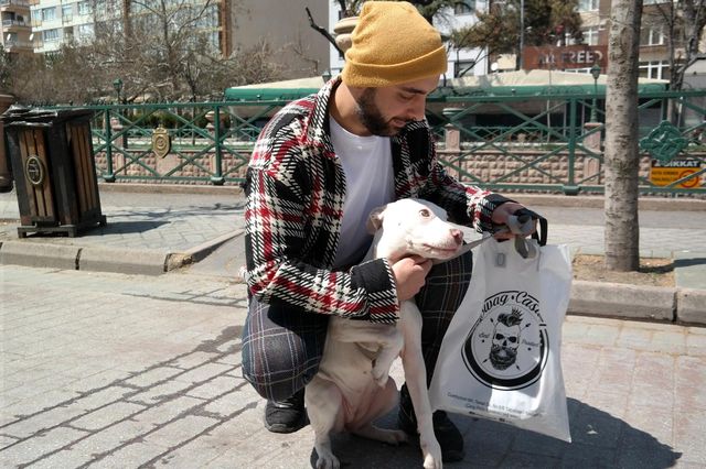Yıl sonuna kadar evcil hayvanına mikroçip taktırmayanlara 10 bin lira ceza kesilecek