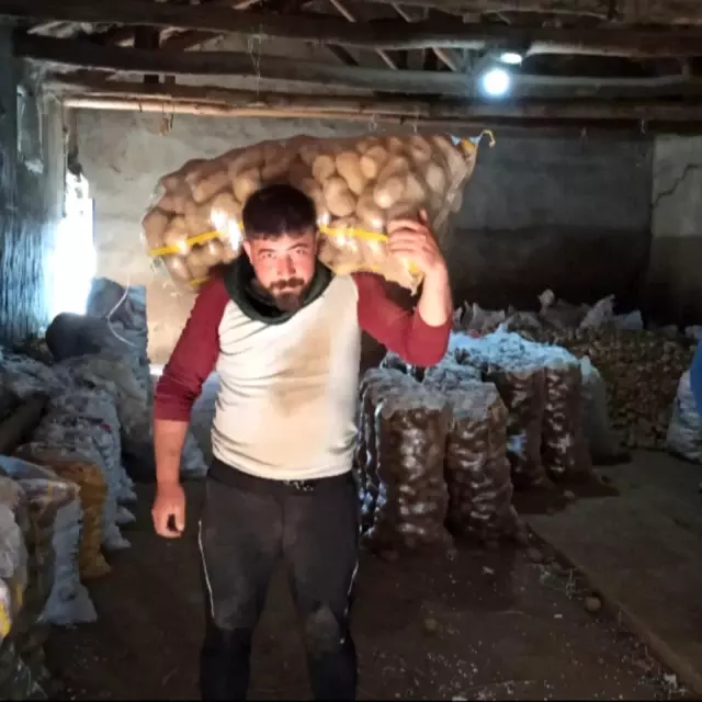 Patates depoları boşaldıkça üreticinin yüzü gülüyor Patates depoları boşaldıkça üreticinin yüzü gülüyor